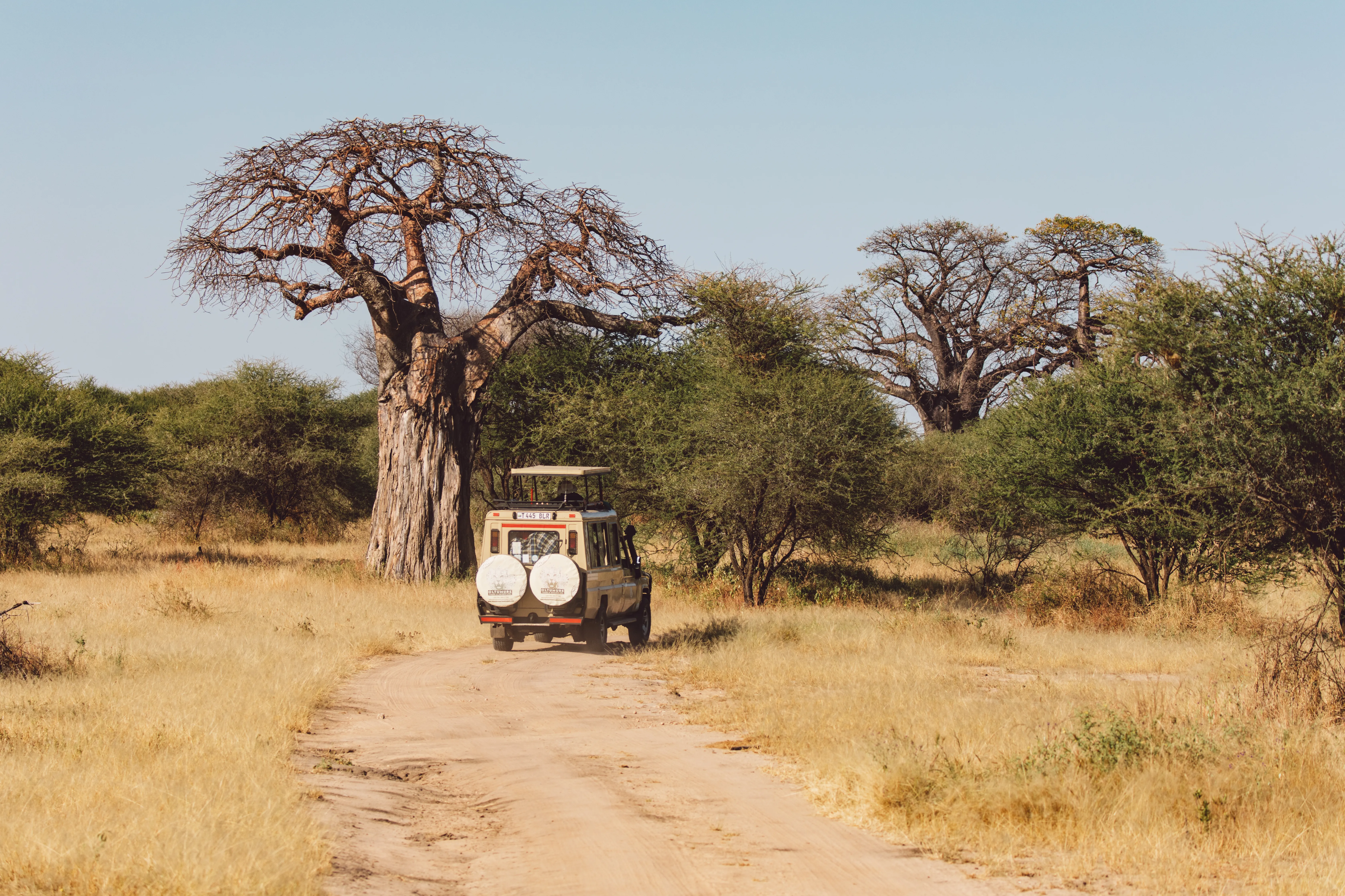 Safari Vehicles