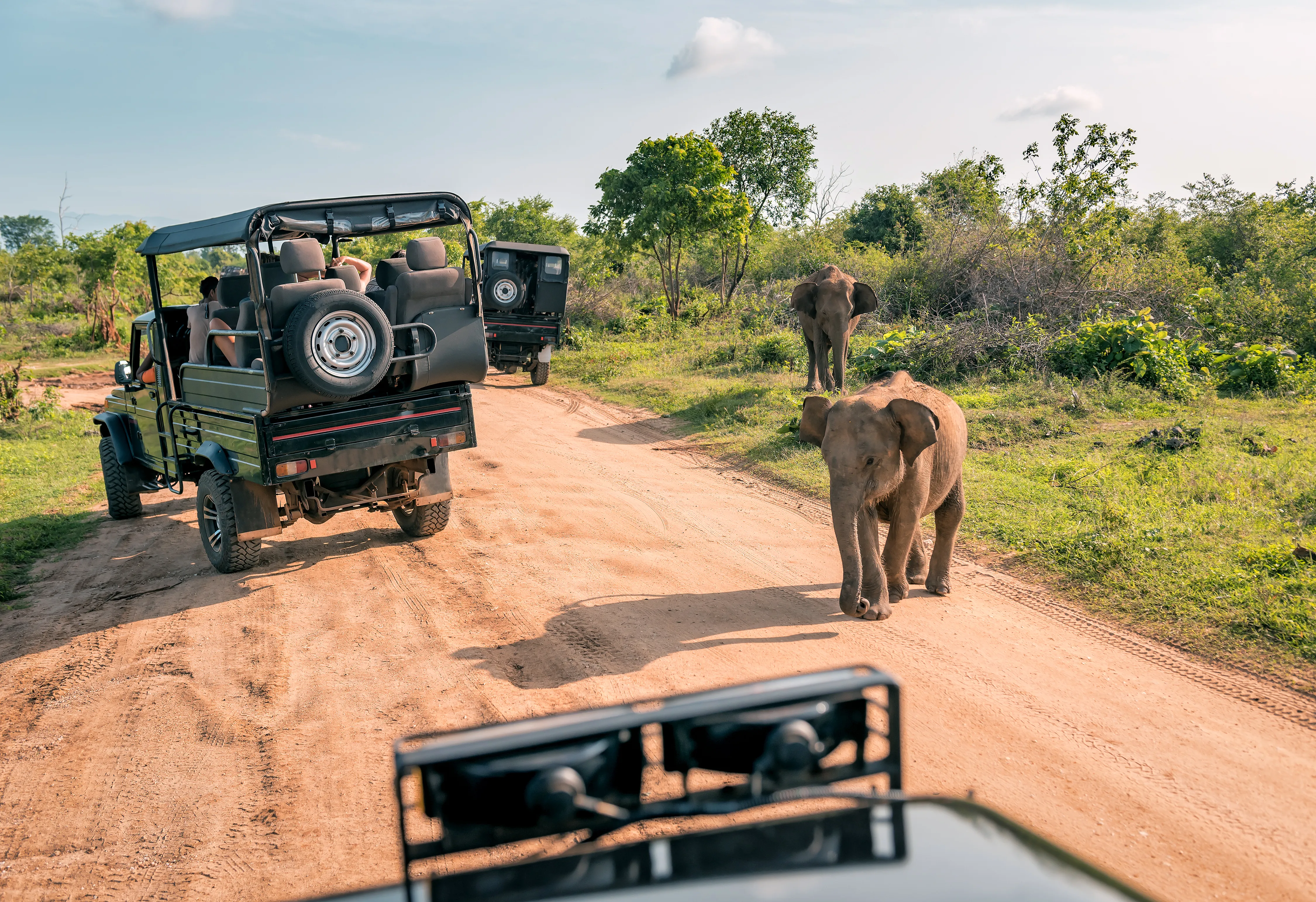 Elephant with Baby