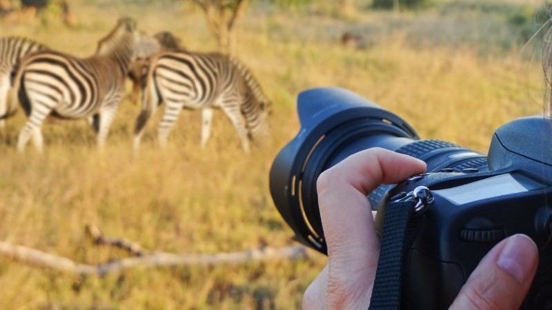Maasai Mara Adventure