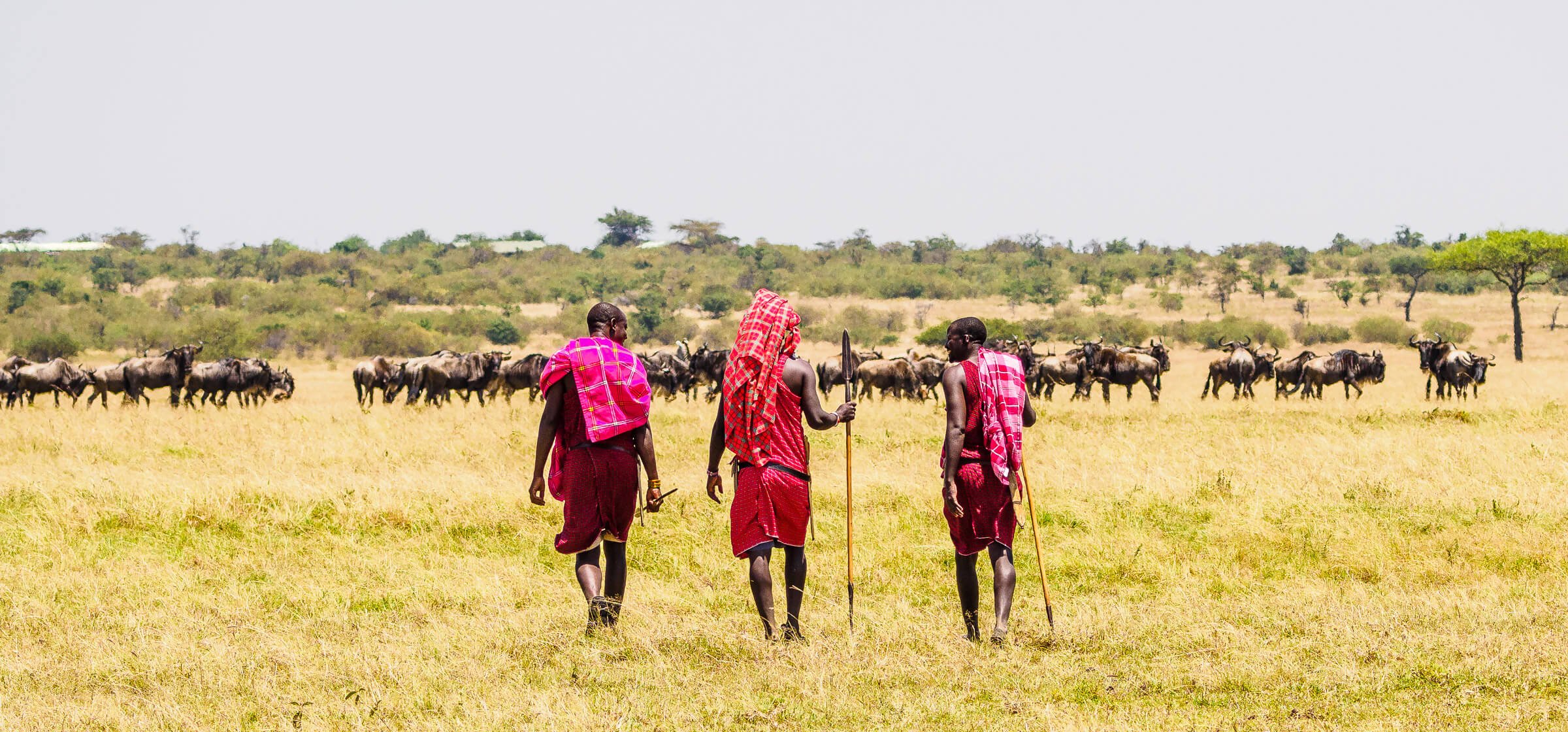 Maasai Mara Adventure