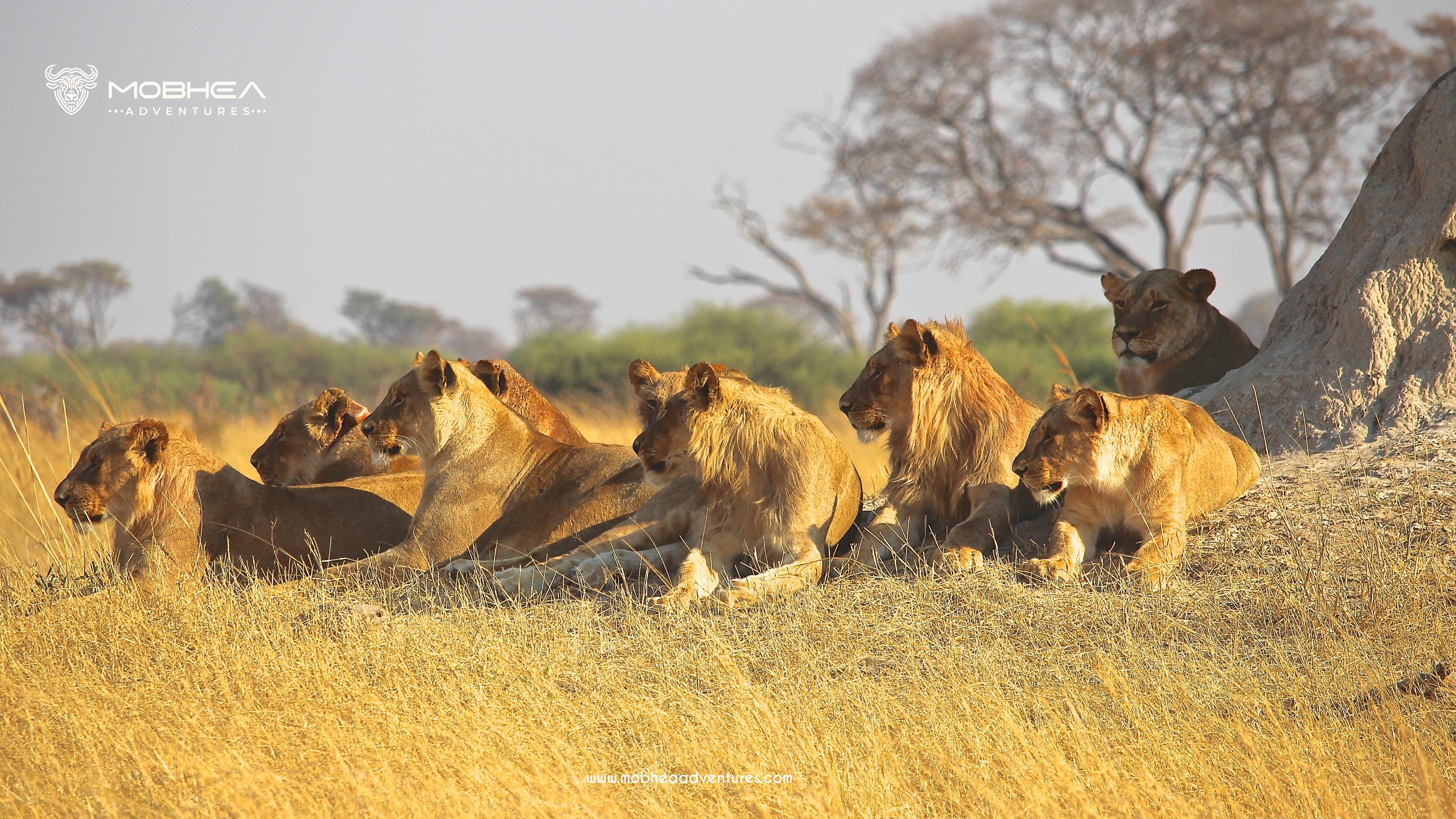 Maasai Mara Adventure