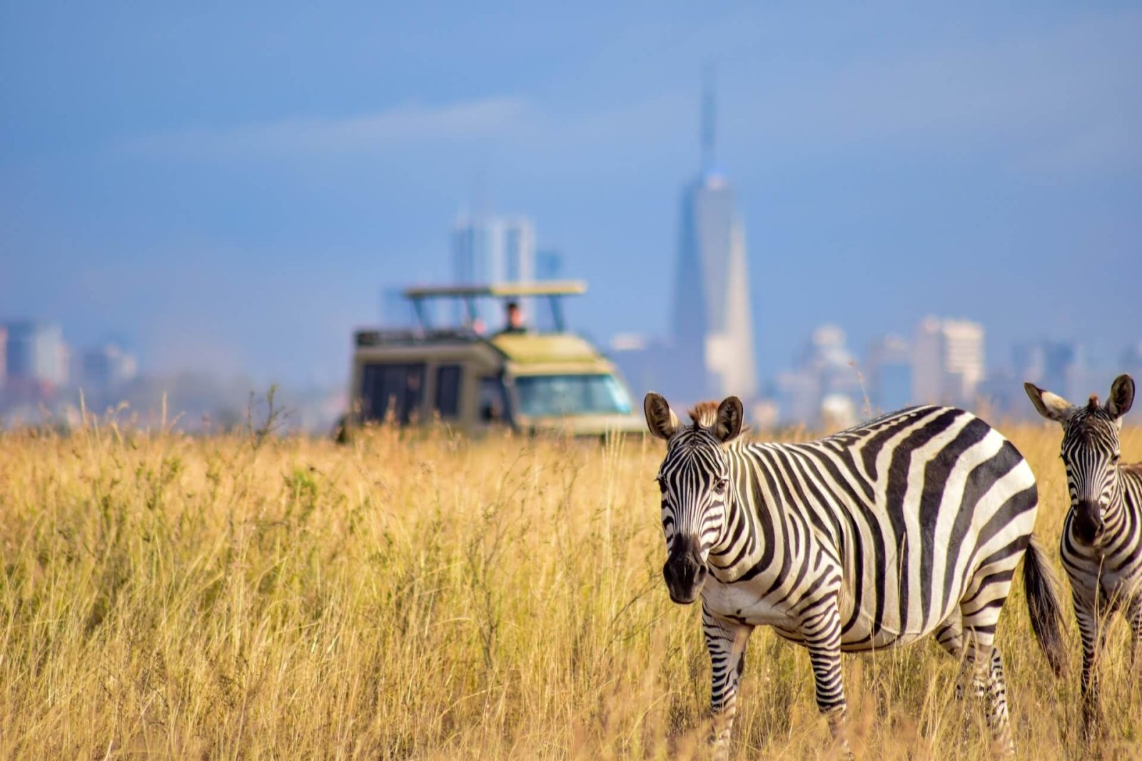 Maasai Mara Adventure