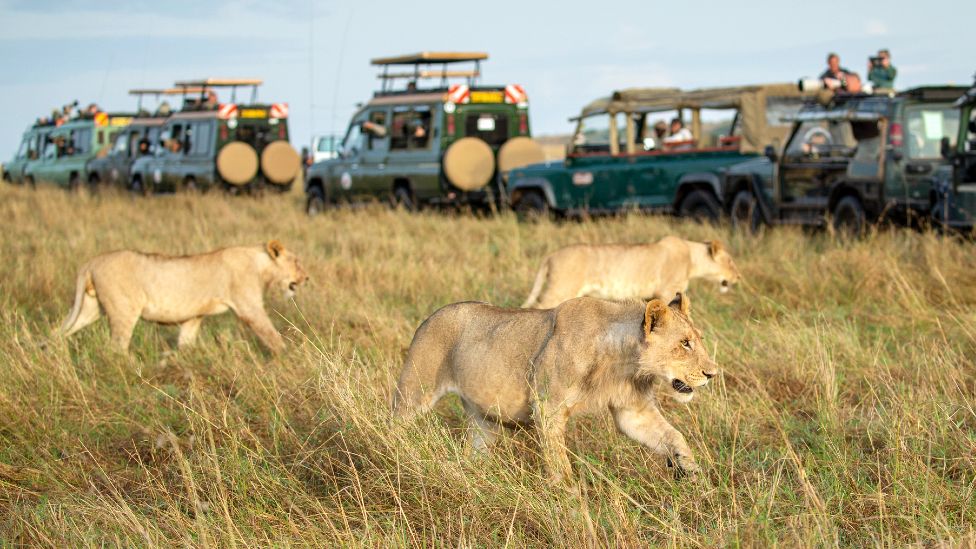 Maasai Mara Adventure